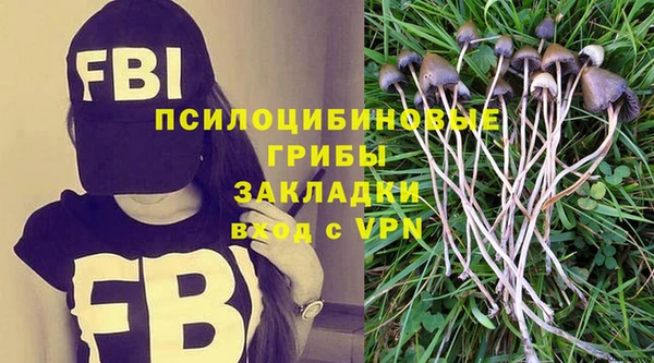 крисы Приозерск